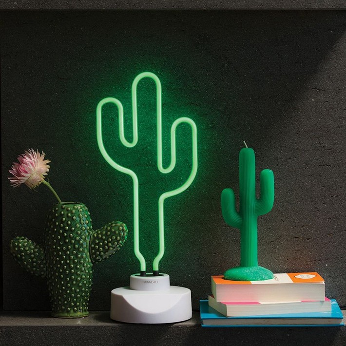 A series of cool home decoration ideas from tiny cactus - Photo 19.