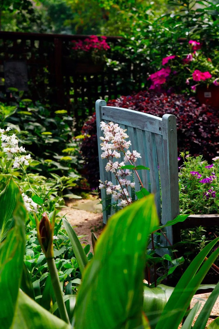 The garden is as peaceful as a fairyland filled with flowers and leaves because the girl devoted herself to giving up her youth for 10 years - Photo 12.