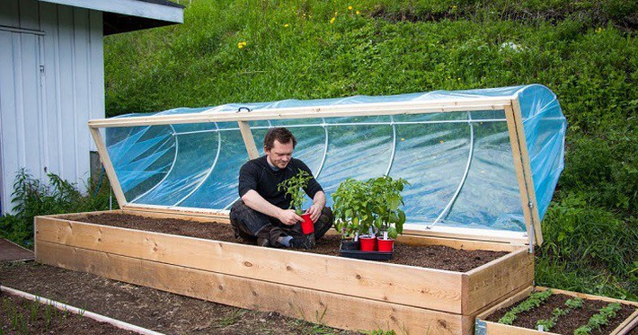 diy-hinged-hoophouse-for-raised-bed-1546323922920799009882.jpg