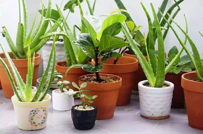 Ngôi nhà ống 50m² vừa tối vừa lạc hậu lột xác đẹp cá tính và hiện đại với màu đen trắng sau cải tạo - Ảnh 26. Ngôi nhà ống 50m² vừa tối vừa lạc hậu lột xác đẹp cá tính và hiện đại với màu đen trắng sau cải tạo - Ảnh 26.