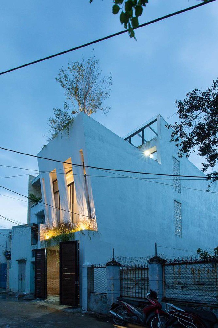 Ngôi nhà trong hẻm nhỏ nhưng đầy bóng nắng và cây xanh ở thành phố Đà Nẵng - Ảnh 6.