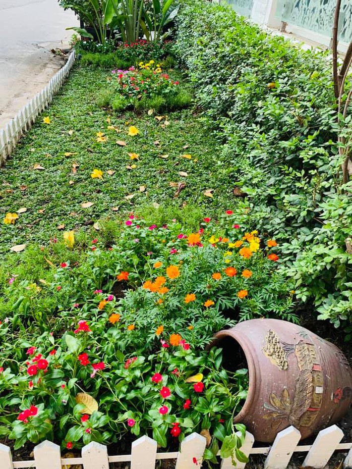 Ngất ngây trước vẻ đẹp biệt thự ngập tràn thiên nhiên của nữ ca sĩ Vy Oanh - Ảnh 13. Ngất ngây trước vẻ đẹp biệt thự ngập tràn thiên nhiên của nữ ca sĩ Vy Oanh - Ảnh 13.