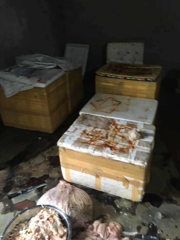 Kinh hãi hàng trăm kg nội tạng động vật hôi thối sơ chế cạnh khu vực bãi rác ở Đà Nẵng - Ảnh 2. Kinh hãi hàng trăm kg nội tạng động vật hôi thối sơ chế cạnh khu vực bãi rác ở Đà Nẵng - Ảnh 2.