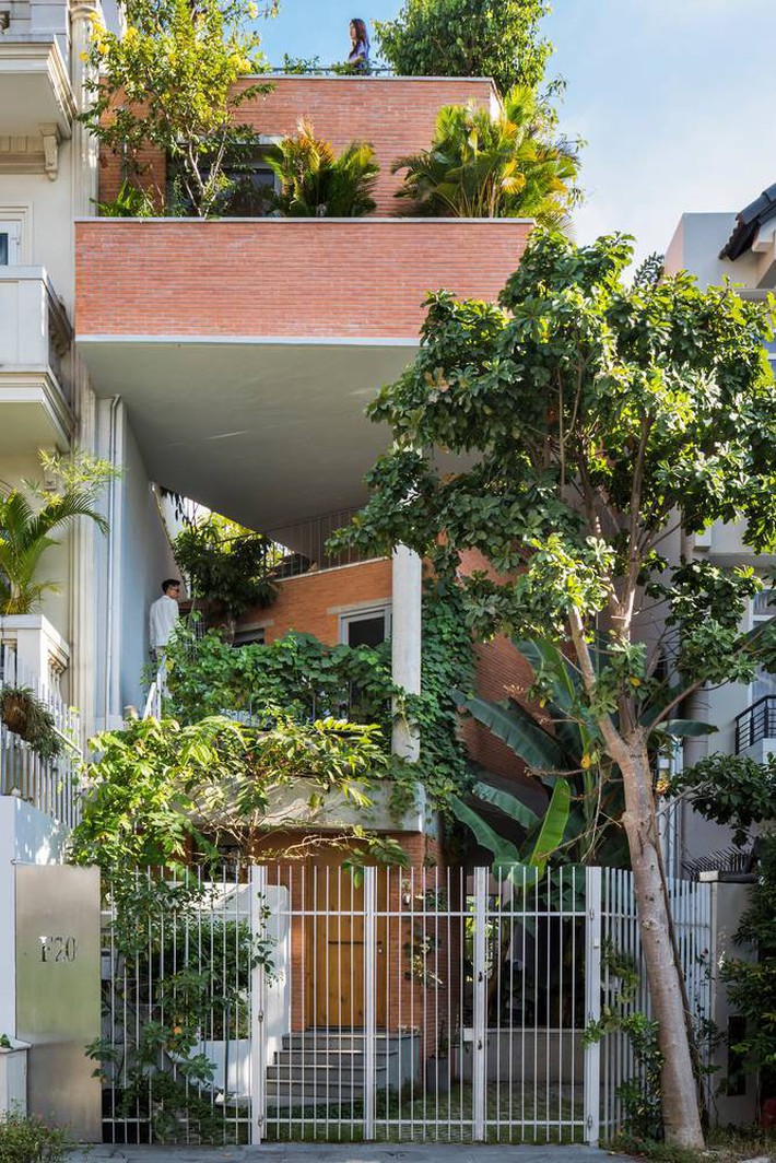 Ngôi nhà ống tiện nghi lại xanh mát như mang rừng vào nhà của gia đình 3 thế hệ giữa Sài Gòn hoa lệ - Ảnh 1.