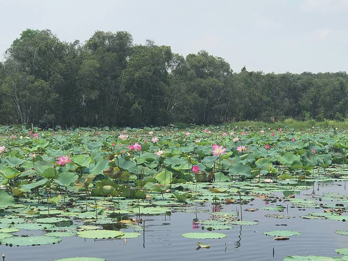 Nghỉ lễ ở Sài Gòn không cần đi xa, đến làng nổi Tân Lập là đủ vừa an yên vừa sôi động, mê nhất là các bé - Ảnh 16.