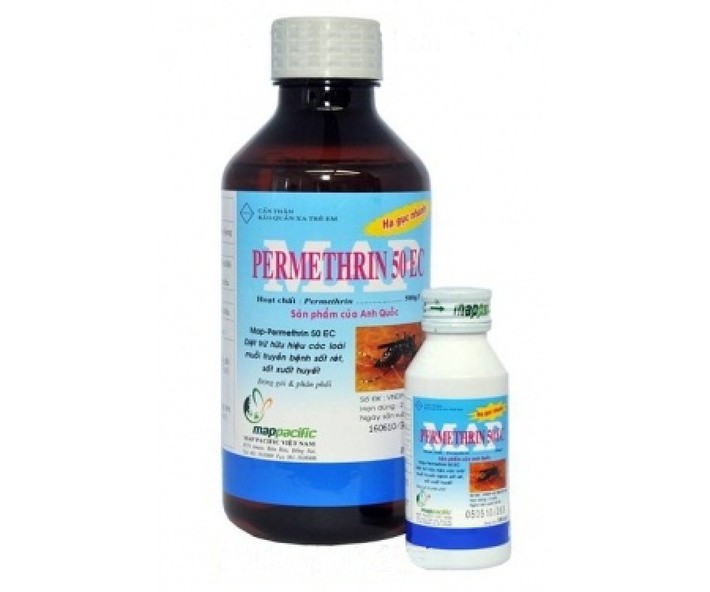 Tự đối phó với gián Đức không được, hãy tìm ngay đến các dịch vụ diệt gián tại nhà! - Ảnh 4. Tự đối phó với gián Đức không được, hãy tìm ngay đến các dịch vụ diệt gián tại nhà! - Ảnh 4.
