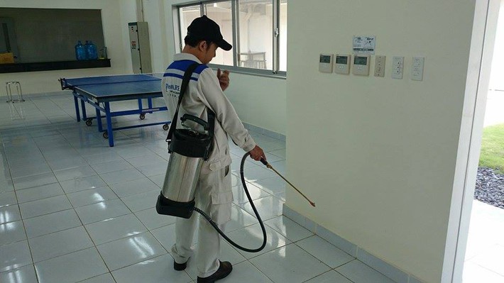 Tự đối phó với gián Đức không được, hãy tìm ngay đến các dịch vụ diệt gián tại nhà! - Ảnh 5. Tự đối phó với gián Đức không được, hãy tìm ngay đến các dịch vụ diệt gián tại nhà! - Ảnh 5.