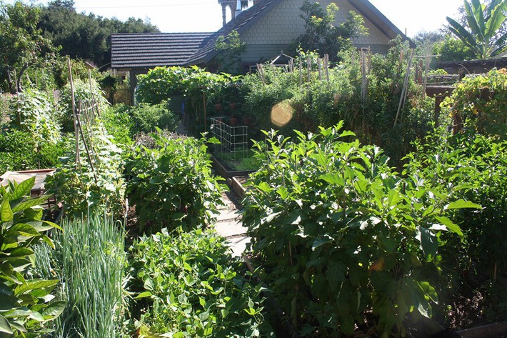 Gia đình nhiều thế hệ chung sống hạnh phúc bên ngôi nhà yên bình cùng mảnh vườn trồng rau quả sạch rộng 4000m2 - Ảnh 17.