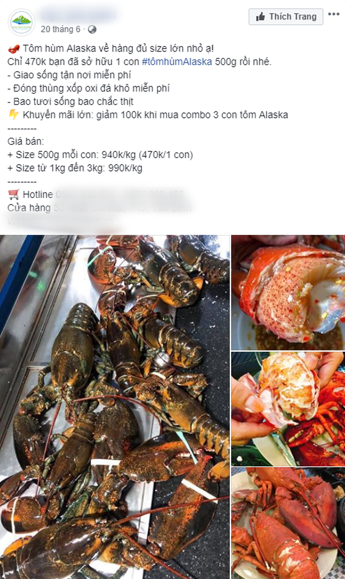9-15646584980611713796209.png