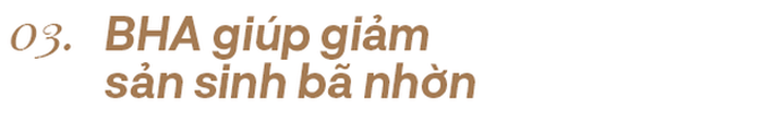 - Ảnh 19. - Ảnh 19.