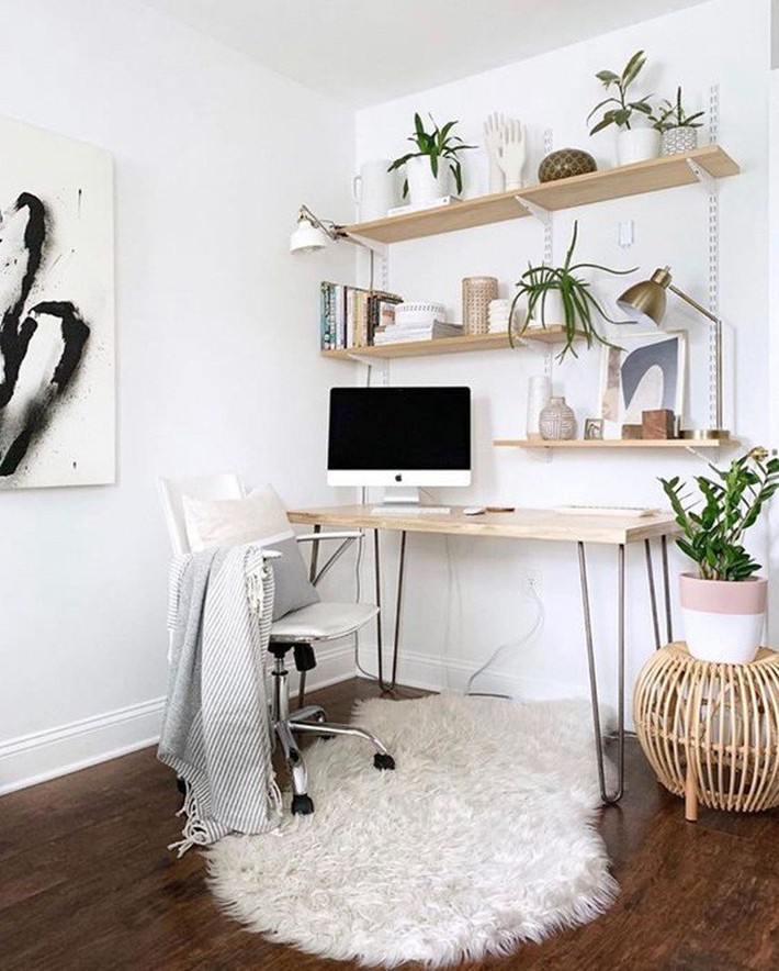 home-office-plants-decorating-idea