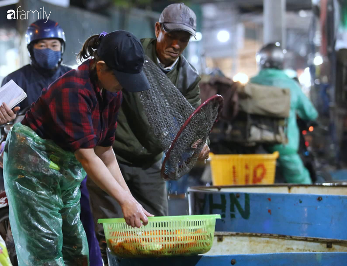 Ngày ông Công ông Táo, chợ cá lớn nhất Hà Nội cháy hàng cá chép từ rạng sáng - Ảnh 9.