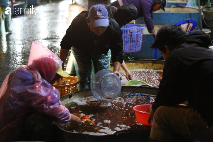 Ngày ông Công ông Táo, chợ cá lớn nhất Hà Nội cháy hàng cá chép từ rạng sáng - Ảnh 13.