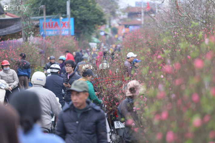 Chợ hoa Quảng An 