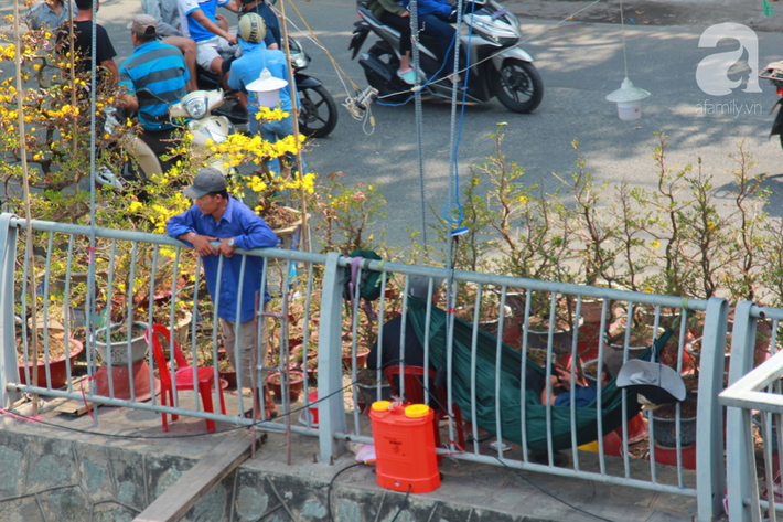 Độc đáo chợ hoa bến Bình Đông ngày cuối năm: Mang hoa Tết vượt sông hàng trăm kilomet đến Sài Gòn mưu sinh - Ảnh 4.