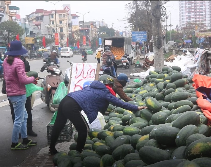 Người Hà Nội 