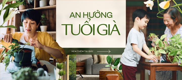 An hưởng tuổi già