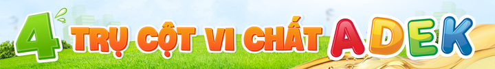 Vi chất toàn diện từ A đến K