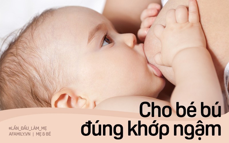 Cho Con Bú đúng Khớp Ngậm để Bé Không Bị Sặc Sữa Mẹ 0583