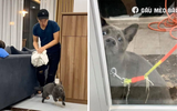 Idol Dúi ba chân bốn cẳng bỏ chạy, đòi tẩu thoát khỏi con sen nhưng lại có cái kết khiến dân mạng phì cười!