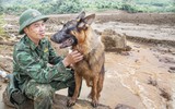 Vào Làng Nủ, gặp chú chó từng đi cứu hộ quốc tế