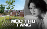 Mộc thụ táng - Hình thức chôn cất theo di nguyện của Từ Hy Viên được thực hiện như thế nào?