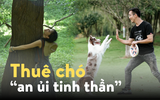 Không chỉ "ôm cây để chữa lành", nhiều người đang thuê "chó an ủi tinh thần" để giải tỏa căng thẳng