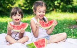 Mùa picnic đến rồi: Tránh ngay 6 sai lầm khiến thực phẩm nhanh biến thành "ổ vi khuẩn" dưới trời nắng nóng