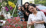 Hà Nội: Nhầm lịch tổ chức lễ hội hoa anh đào, hàng trăm chị em ngậm ngùi "check in" quanh hàng rào