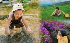 Chuyến xê dịch "đu trend" đồi hoa sim Suối Bon Vân Hồ ở Mộc Châu của phượt thủ măng non 2 tuổi