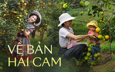 Đưa trẻ lên "xứ Mường" tự tay thu hoạch trái cam chín mọng, bố mẹ còn dắt túi bí kíp chọn cam "xịn"