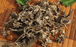 Việt Nam có 1 loại rau lá "vua thảo mộc", dược tính cực cao, giúp dưỡng dạ dày, hỗ trợ giấc ngủ, nhưng người bị tiểu đường nên tránh xa