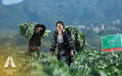 "Tài sản quốc gia" đặc biệt của Việt Nam giúp một doanh nghiệp thu 2.299 tỷ