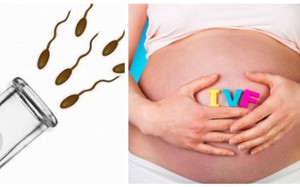 Bật mí hành trang cho các cặp vợ chồng giúp thụ tinh ống nghiệm tăng tỷ lệ thành công