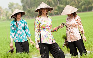 Andrea dịu dàng lội ruộng cấy lúa 