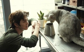 Yoo Seung Ho trở lại màn ảnh cùng... mèo