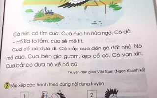 Chủ biên sách giáo khoa Tiếng Việt 1 nói gì trước những chỉ trích?