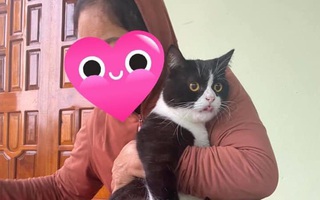Đi chạy lũ chẳng mang theo thứ gì ngoài chú mèo con và chiếc xúc xích, bà mẹ miền Trung khiến ai nấy bất ngờ với hành động ngày trở về