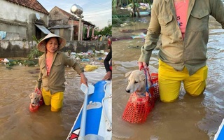 Chú chó được bà chủ xách theo không rời nửa bước giữa mênh mông nước lũ khiến dân mạng có một phen cười bò