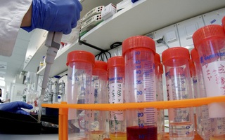 Du khách đến Singapore phải xét nghiệm PCR trong vòng 72 giờ trước khi khởi hành