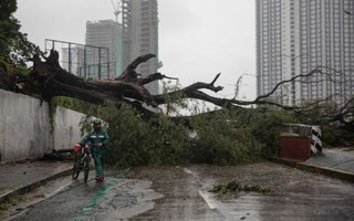 Bão Vamco đổ bộ Philippines