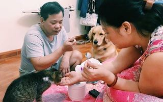 Cô gái kể chuyện tình của bố mẹ khiến MXH ngưỡng mộ: 30 năm cưới nhau nhưng vẫn gọi vợ chồng, qua đường phải nắm tay, sẵn sàng đưa nhau đi xem phim, du lịch 