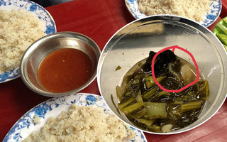 Ăn gần suất cơm rang dưa bò mới phát hiện con rết to đùng, chủ thớt sợ hãi đăng đàn, nhưng dân mạng vẫn lầy lội: Hàng tặng kèm béo, bổ!