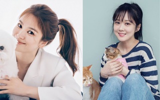 Mỹ nhân U40 khi để tóc đuôi ngựa xì tin: Song Hye Kyo đã gây choáng, nhìn sang Jang Nara lại càng "sởn da gà"