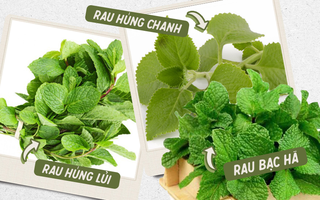 Đừng tự nhận mình là gái đảm nếu chưa phân biệt được các loại rau thơm này hội chị em nhé! 