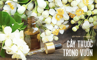 Mùa hoa bưởi lại về, chị em hãy tranh thủ làm thuốc chữa bệnh, dưỡng tóc siêu hay!