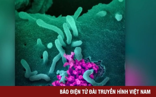 Mỹ thử nghiệm thuốc điều trị COVID-19 trên người
