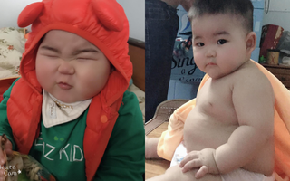 Hội mẹ bỉm thích thú vì cậu bé mập ú 1 tuổi đã 17kg, ai nhìn cũng muốn bế nhưng chỉ được vài phút là trả vì nặng