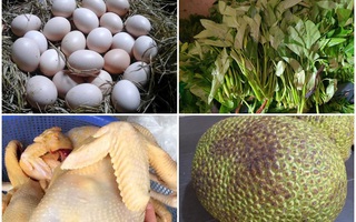 Gia đình 5 người sống cách trung tâm Hà Nội 20km mà mỗi tháng chi tiêu thoải mái chỉ hết 5 triệu, để dành được 15 triệu đồng