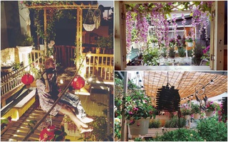 Ngôi nhà đẹp yên bình, lãng mạn nhờ người đàn ông đảm đang tự decor vườn và trồng đủ loại hồng ở Sài Gòn